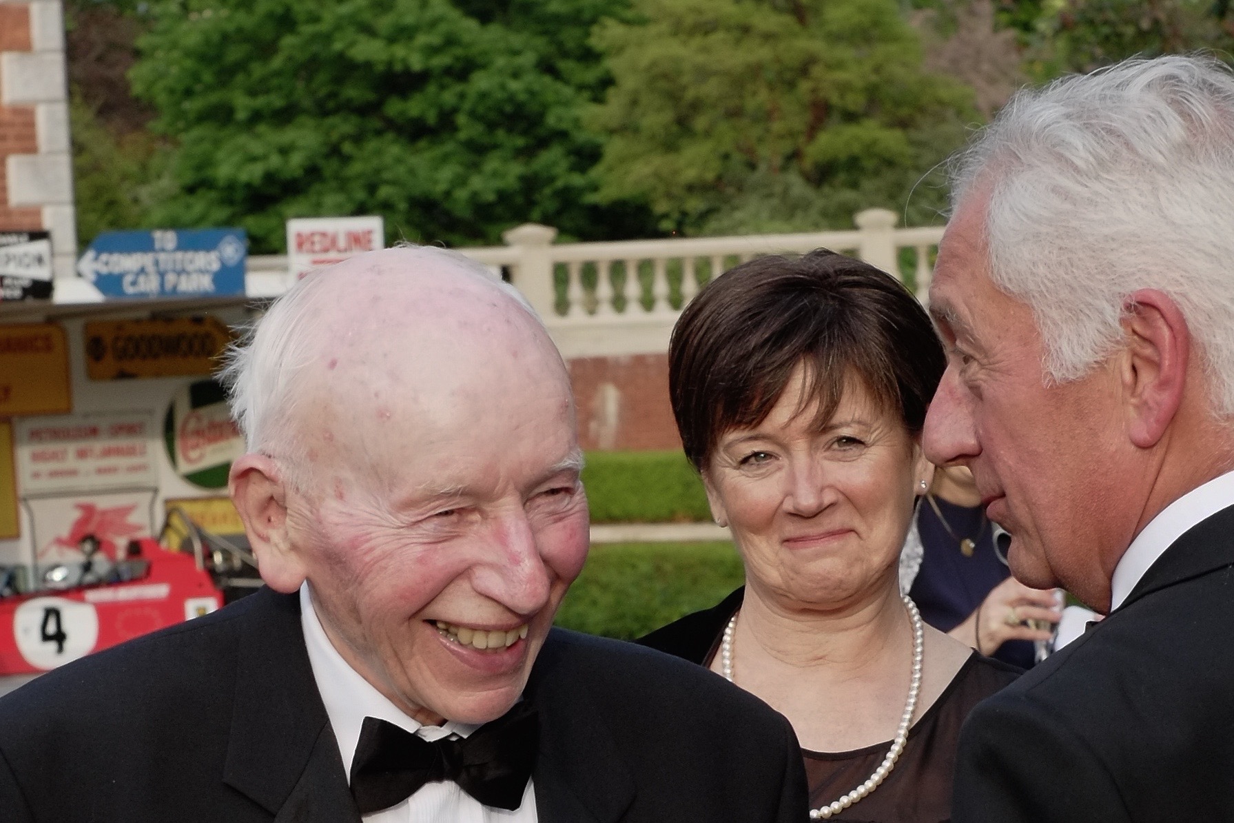 Surtees Hill Fetcham Park 130